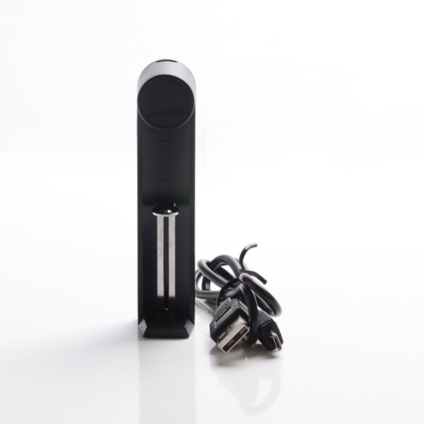 Ładowarka Efest Slim K1