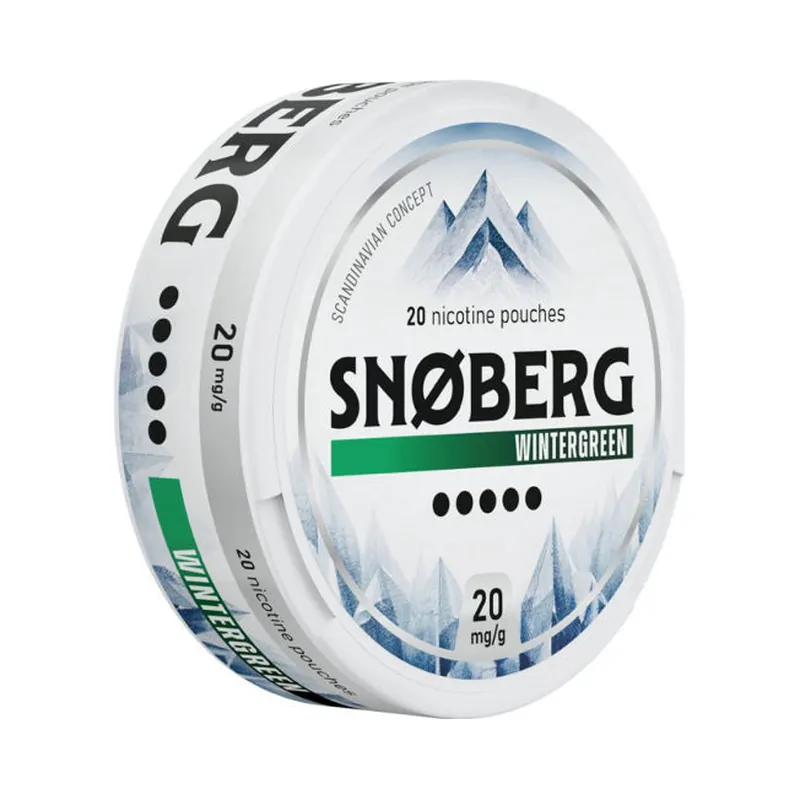 Woreczki nikotynowe Snoberg 20 mg/g Winter Green